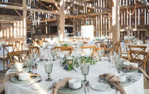 Untitled design (14)